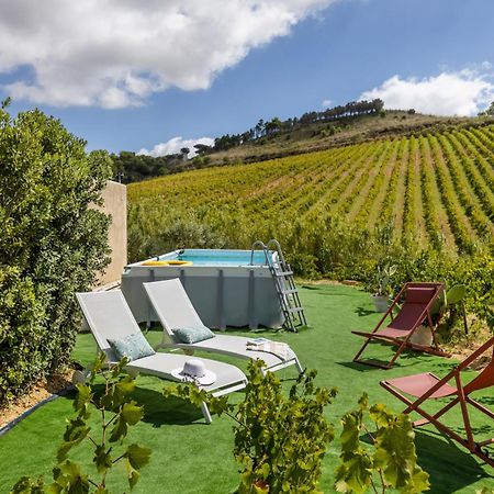 Villa Bonifato Vista Sulle Campagne E Sul Mare Siciliano Cozy House Italy Алкамо Экстерьер фото