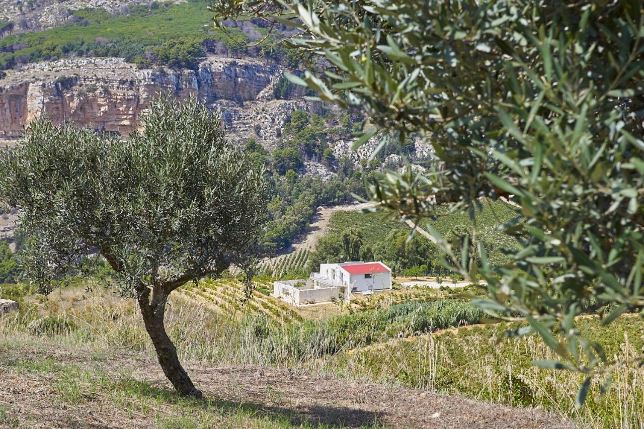 Villa Bonifato Vista Sulle Campagne E Sul Mare Siciliano Cozy House Italy Алкамо Экстерьер фото